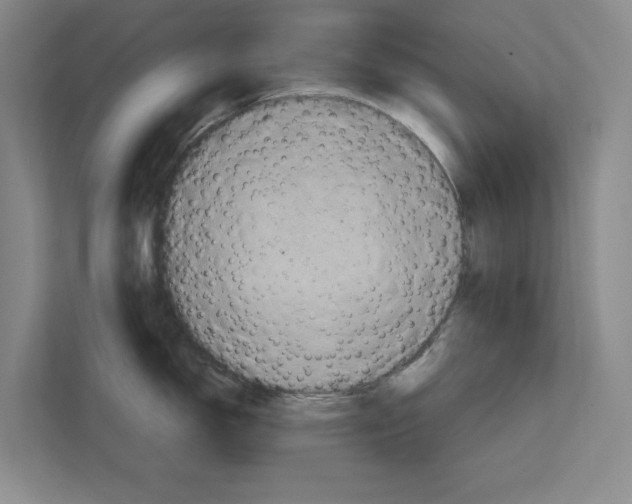 X0000111811150200909031425