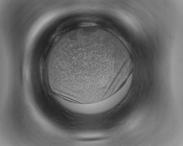 X0000111811151200909031425
