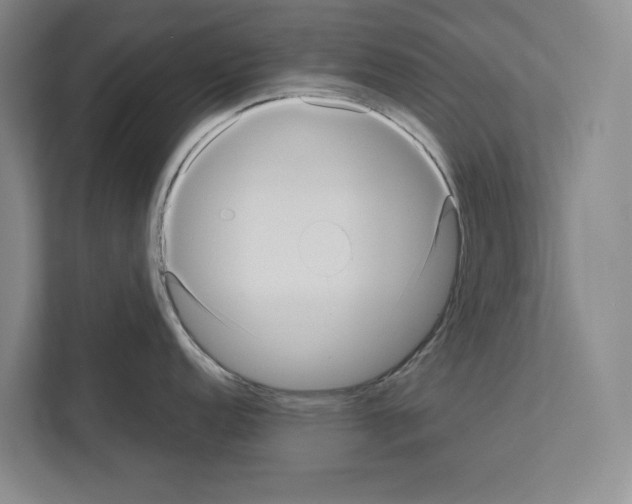 X0000111811152200909031425