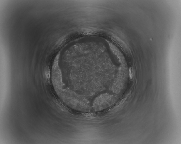 X0000111811155200909031424