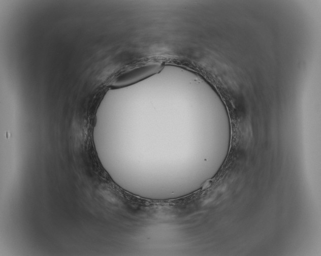 X0000111811157200909031424