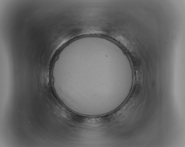 X0000111811165200909031424