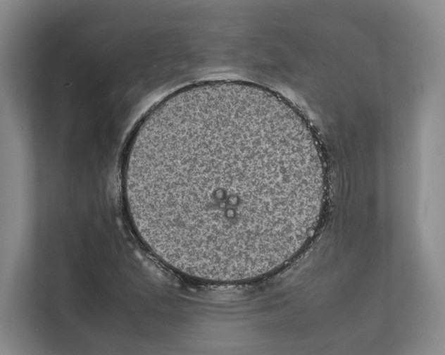 X0000111811167200909031424