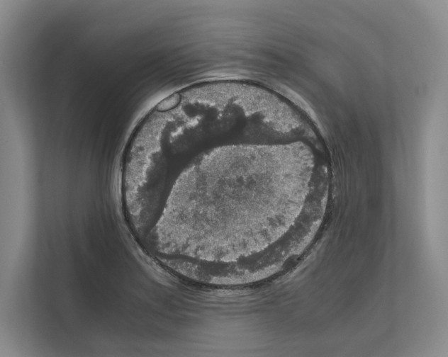 X0000111811179200909031424
