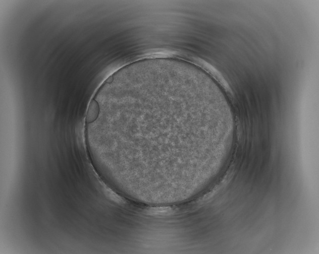 X0000111811186200909031424