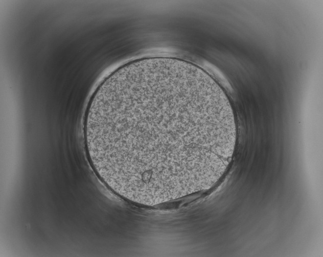 X0000111811192200909031424