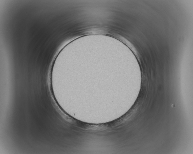 X0000111811195200909031424