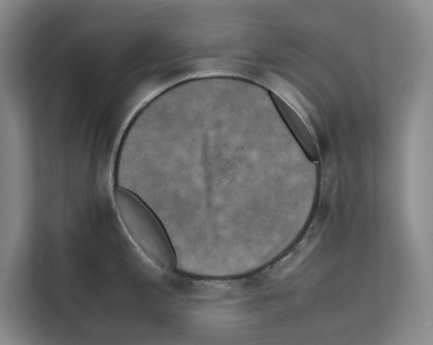 X0000111811197200909031424