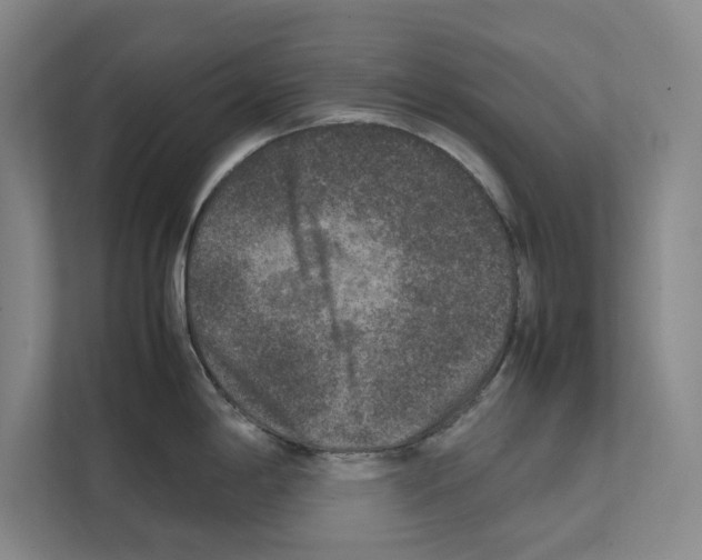 X0000111811198200909031424