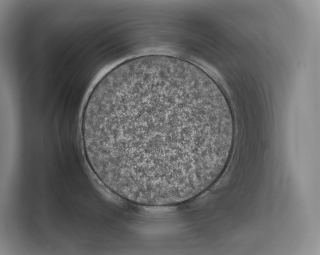 X0000111811200200909031424