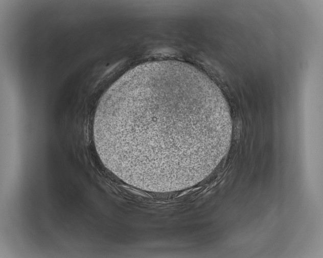 X0000111811205200909031423