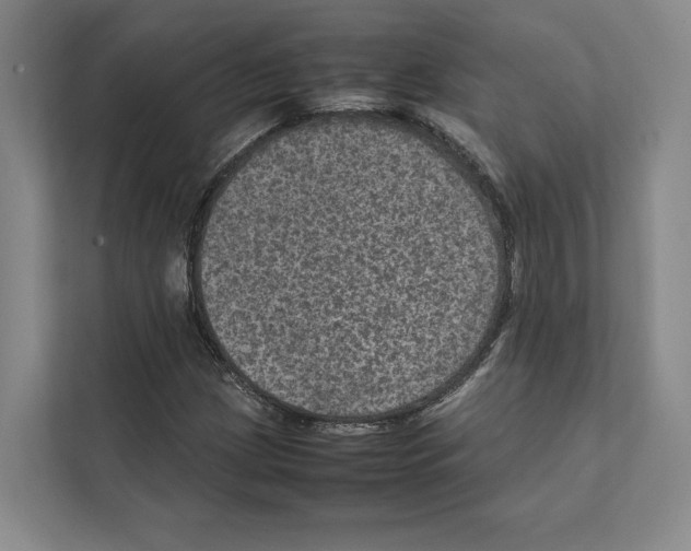X0000111811209200909031423