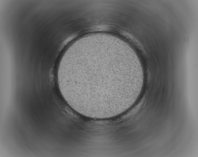 X0000111811210200909031423