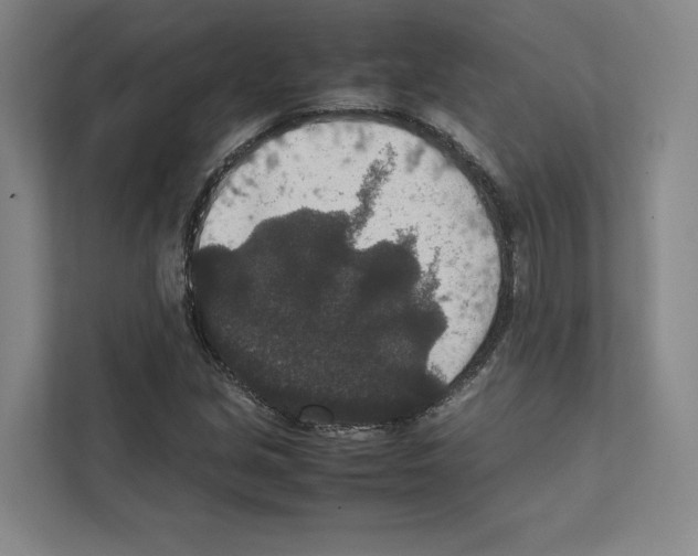 X0000111811213200909031423