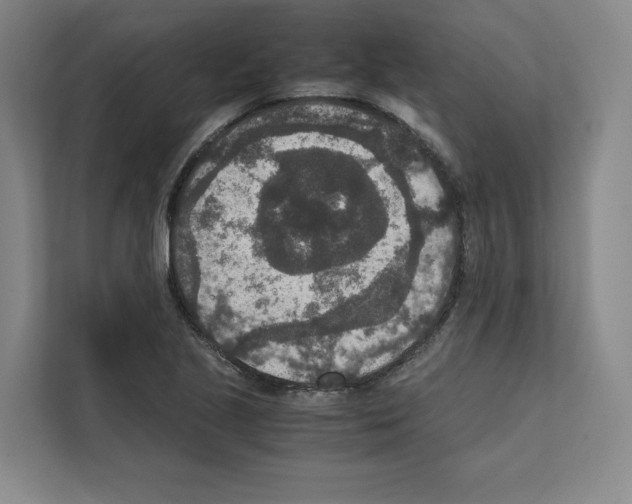 X0000111811221200909031423