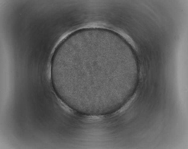 X0000111811224200909031423