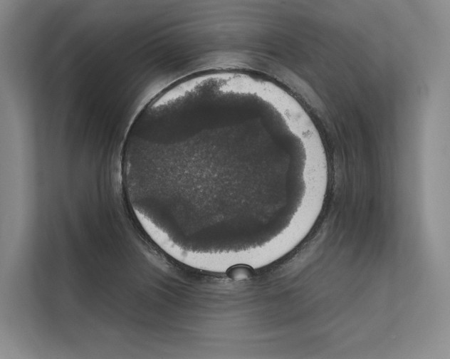 X0000111811226200909031424