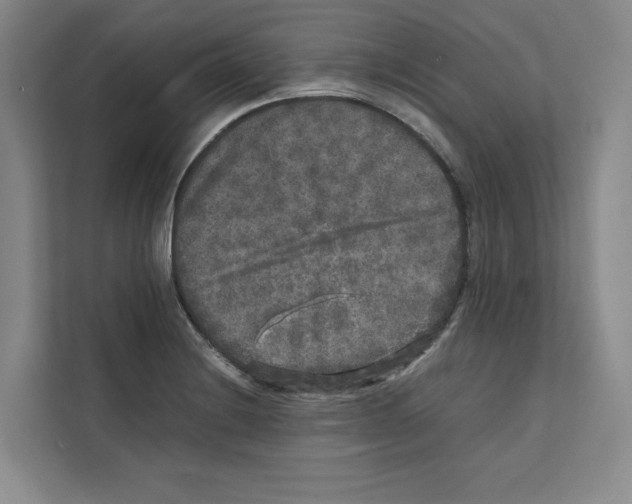 X0000111811228200909031424