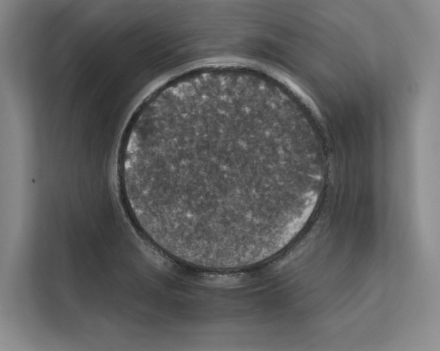 X0000111811229200909031424