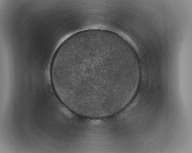 X0000111811230200909031424
