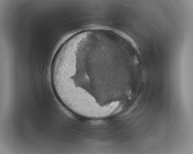 X0000111811231200909031424