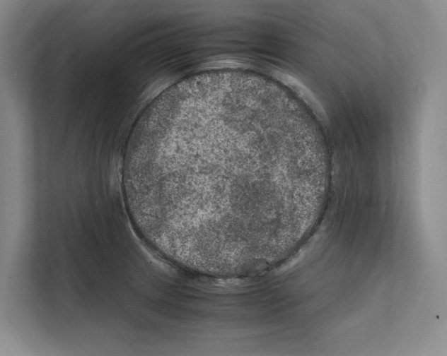 X0000111811233200909031424