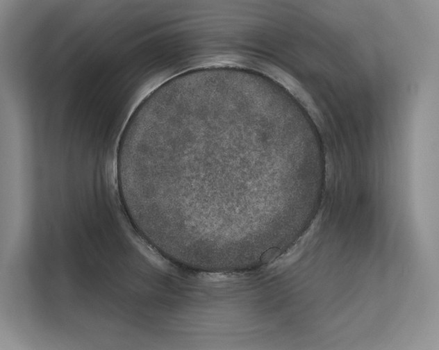 X0000111811234200909031424
