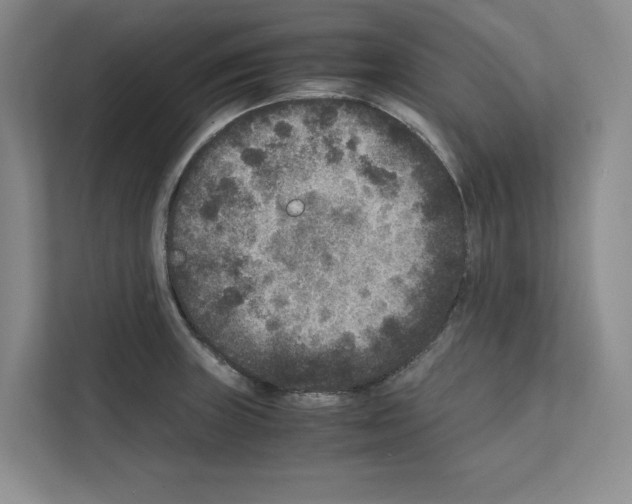 X0000111811235200909031424