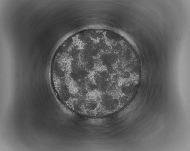 X0000111811237200909031424