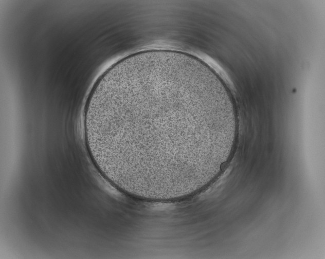 X0000111811238200909031424