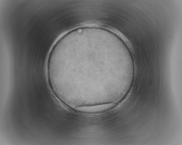 X0000111811240200909031424