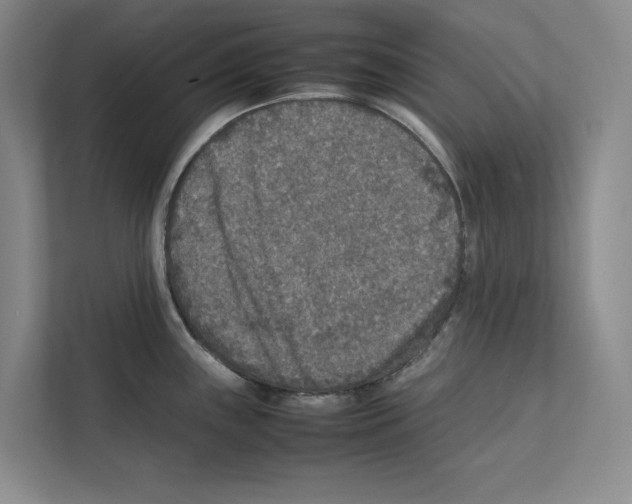 X0000111811243200909031424