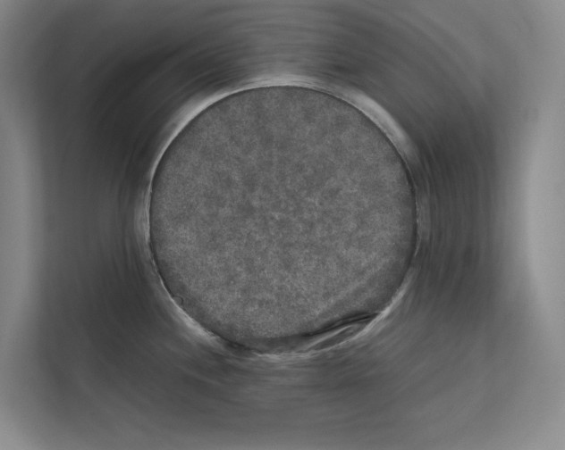 X0000111811244200909031424