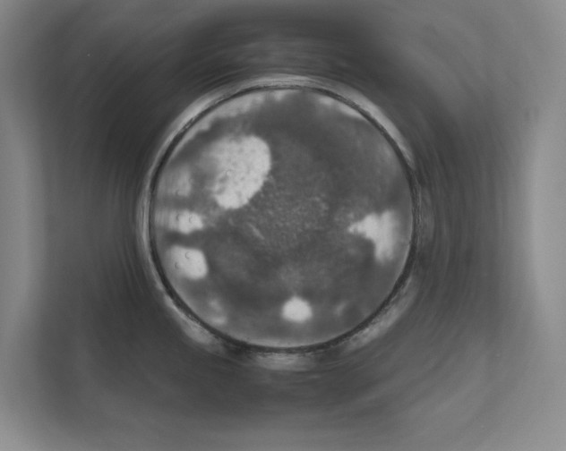 X0000111811245200909031424