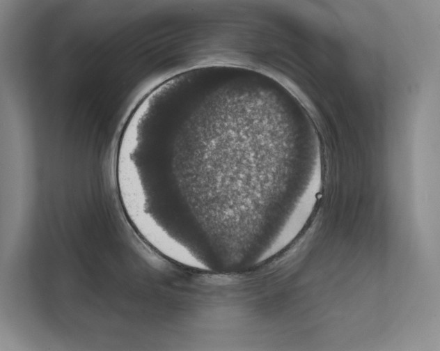 X0000111811246200909031424