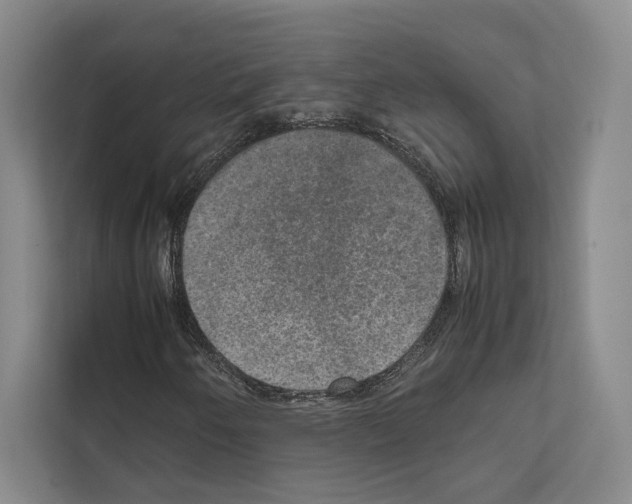 X0000111811250200909031423