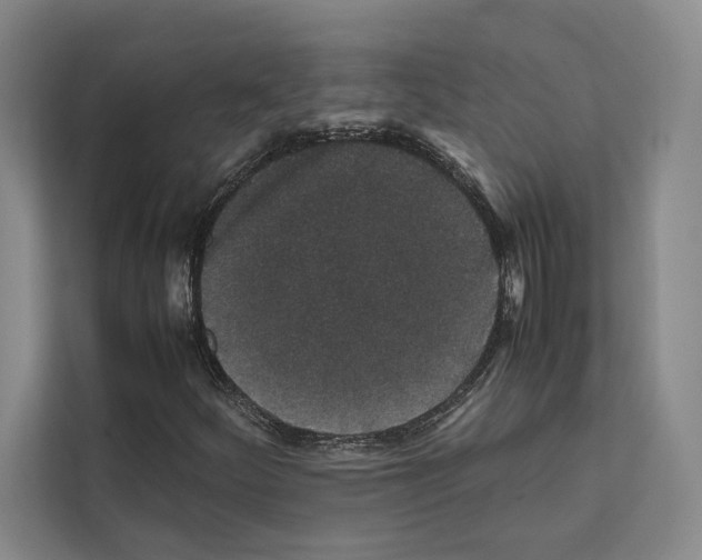 X0000111811252200909031423