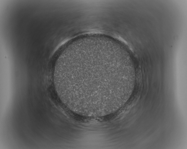 X0000111811255200909031423