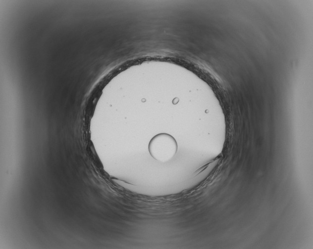 X0000111811256200909031423