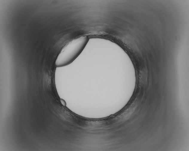 X0000111811257200909031423