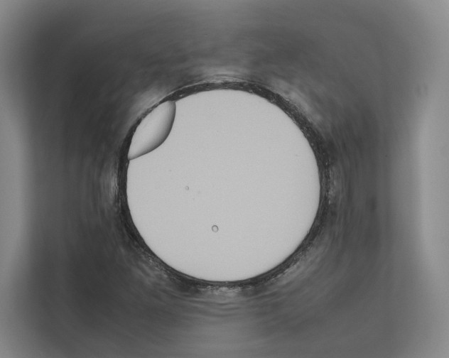 X0000111811261200909031423