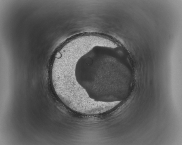 X0000111811263200909031423
