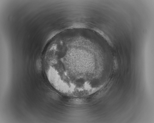 X0000111811266200909031423