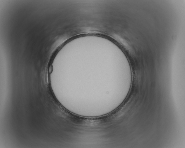 X0000111811269200909031423