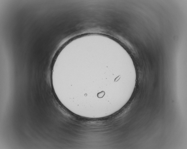 X0000111811272200909031423