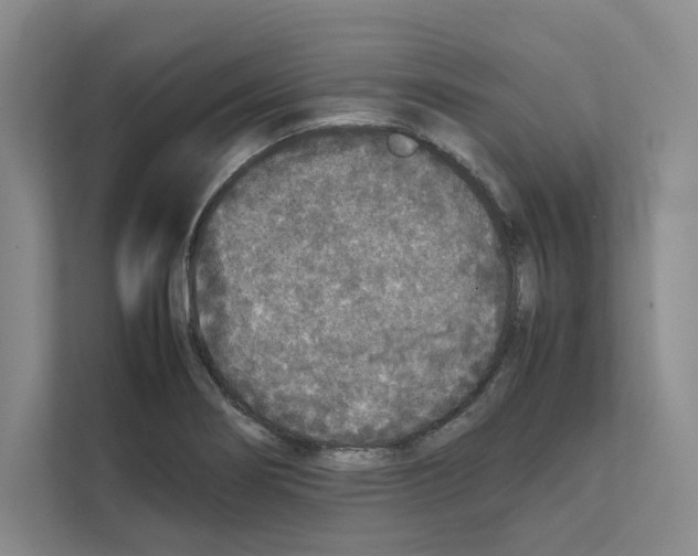 X0000111811274200909031423