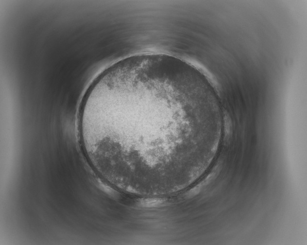 X0000111811278200909031423