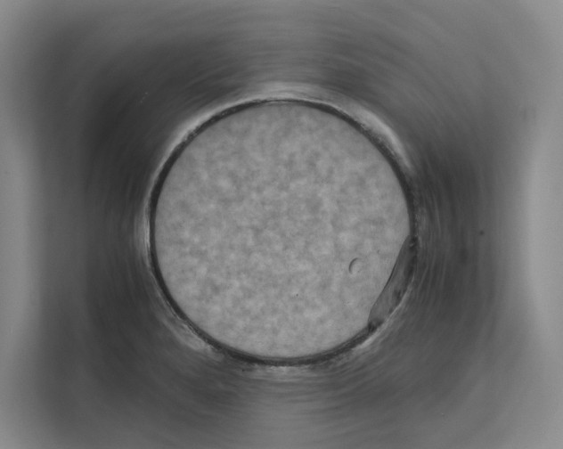X0000111811280200909031423