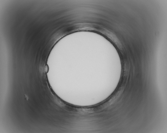X0000111811281200909031423