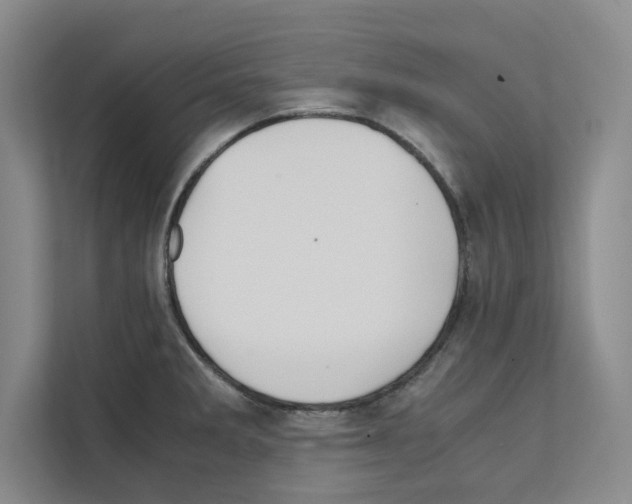 X0000111811285200909031423